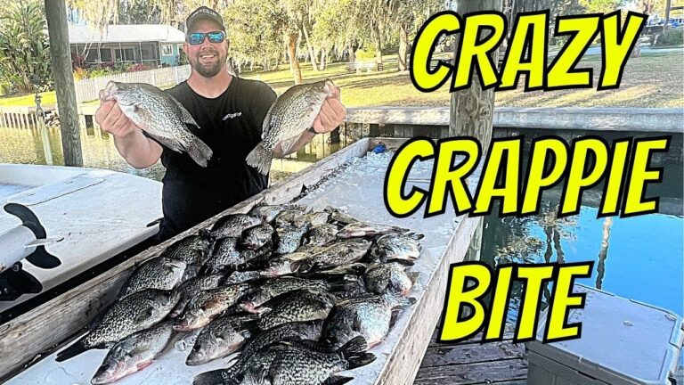 St Johns River Fishing Report Guide