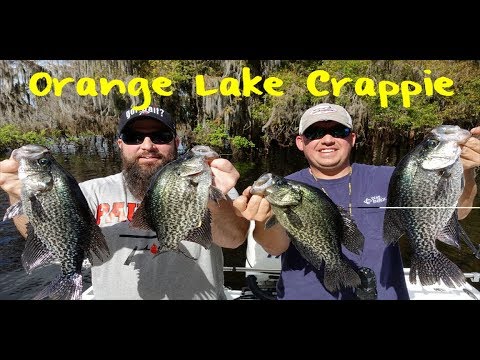 Orange Lake Fishing Report Guide