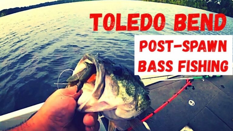 Toledo Bend Reservoir Fishing Report Guide