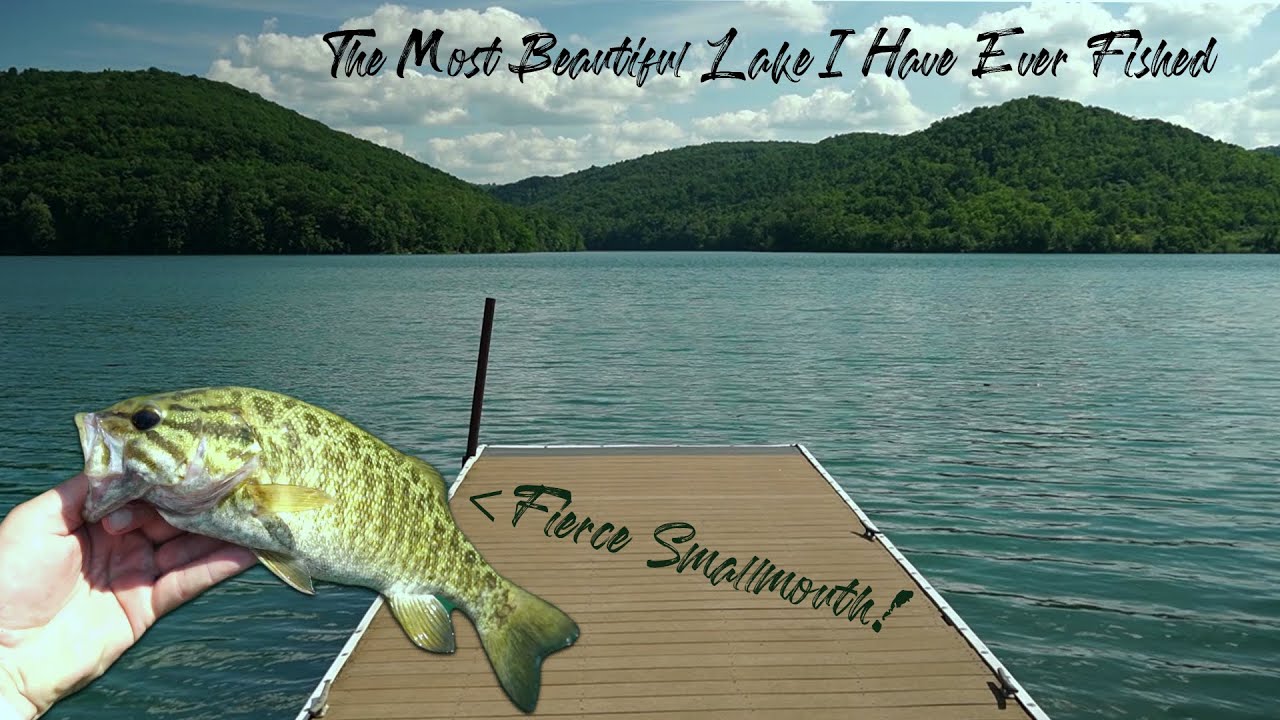 Fishing Lake Report - Jennings Randolph Lake Fishing Guide Uzcgs9Lb1G