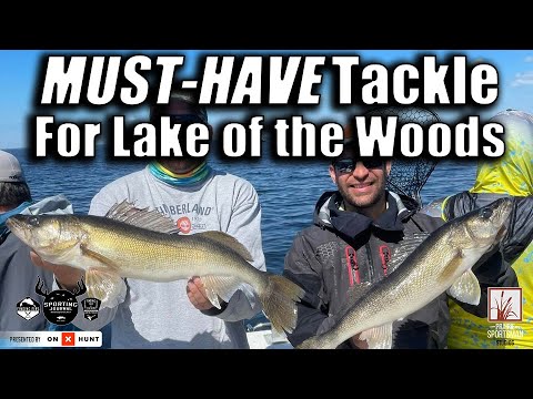Lake Of The Woods Fishing Report Guide