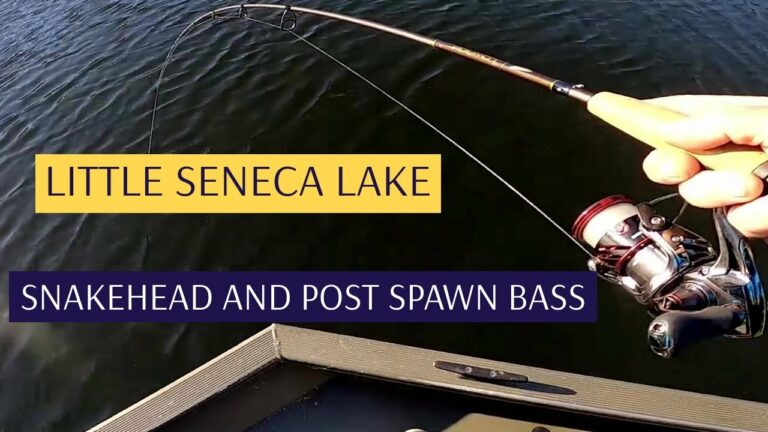 Little Seneca Lake Fishing Guide