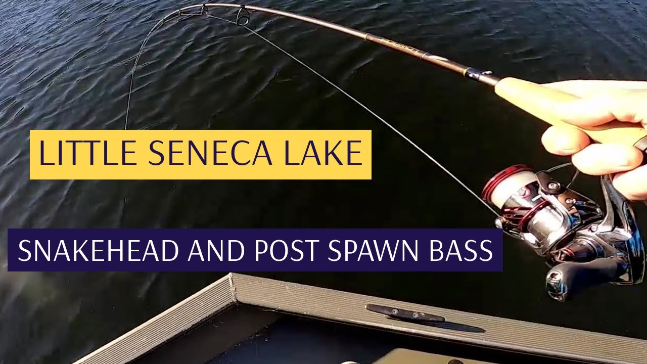 Fishing Lake Report - Little Seneca Lake Fishing Guide Yhw1 64G2I4