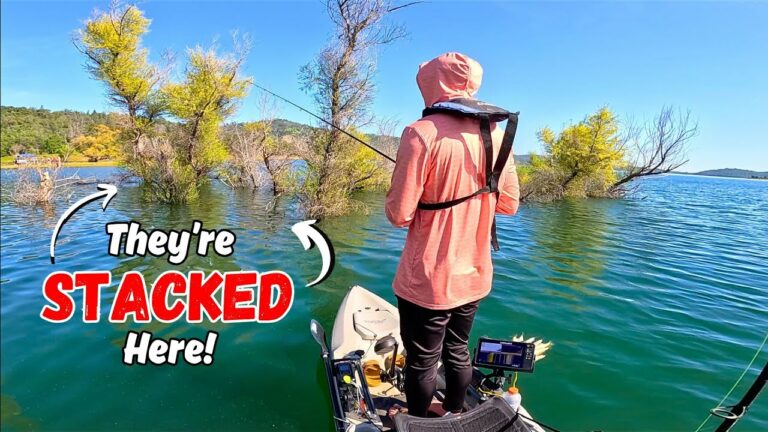 Oroville Lake Fishing Report Guide