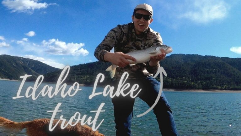 Palisades Reservoir Fishing Lake Report Guide