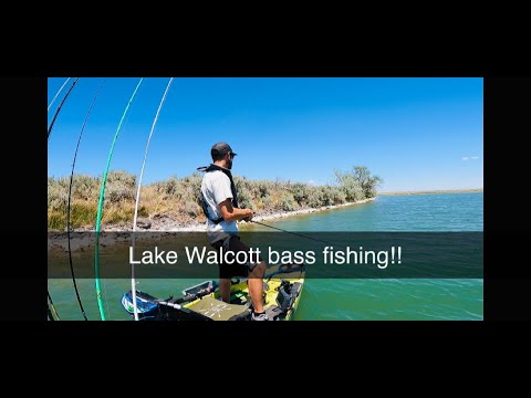 Walcott Lake Fishing Report Guide
