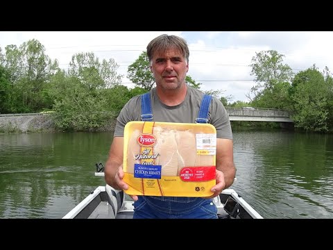 Turkey Creek Lake Fishing Report Guide