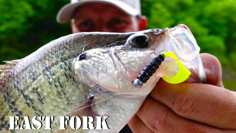 East Fork Reservoir Fishing Report Guide