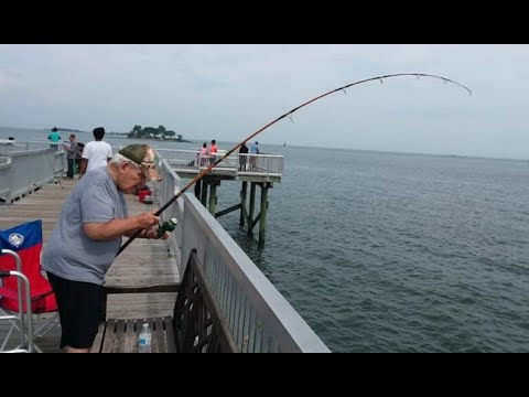 Fishing Lake Report - 7Gettvyuexk