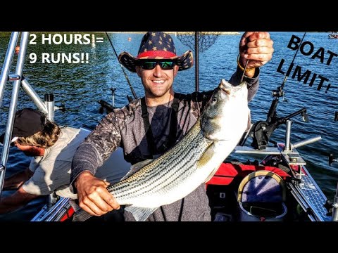 Cecil M Harden Lake Fishing Report Guide