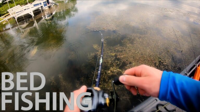 Shawano Lake Fishing Report Guide