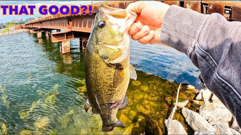 Moonona Lake Fishing Report Guide