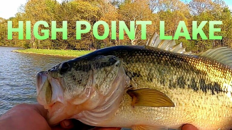 High Point Lake Fishing Guide