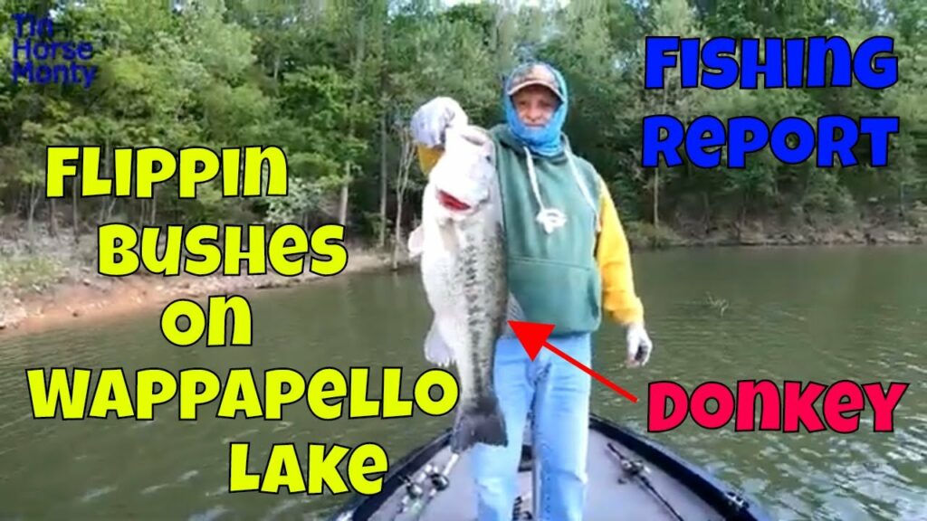 Wappapello Lake Fishing Guide