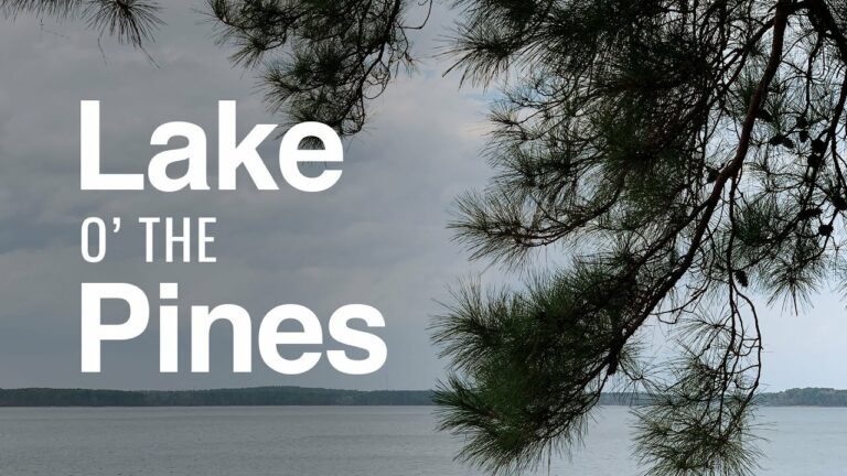 Lake O The Pines Fishing Report Guide