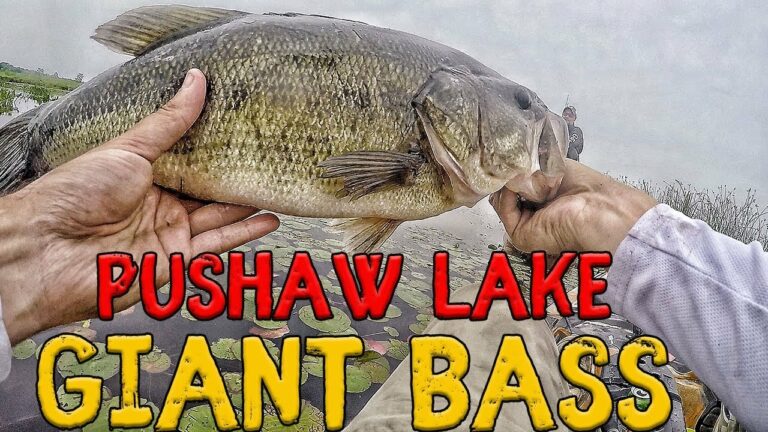Pushaw Lake Fishing Guide