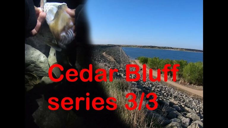 Cedar Bluff Lake Fishing Report Guide