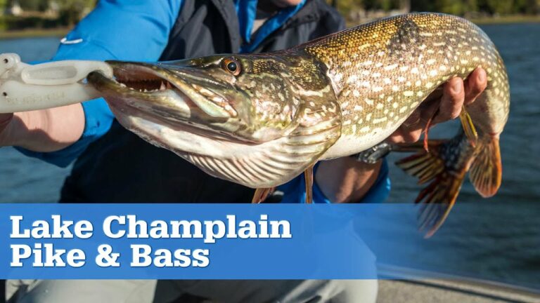 Champlain Lake Fishing Guide