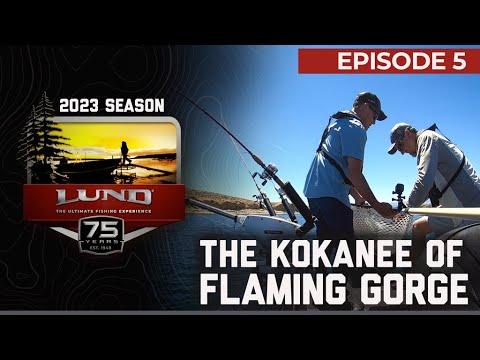Flaming Gorge Reservoir Fishing Guide