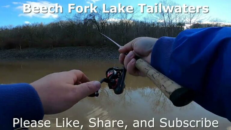 Beech Fork Lake Fishing Guide