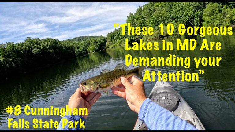 Cunningham Lake Fishing Report Guide