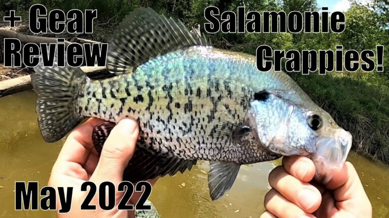 Salamonie Lake Fishing Guide