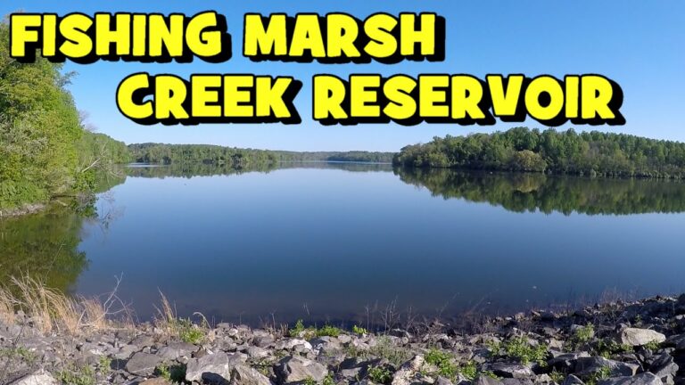 Marsh Creek Lake Fishing Guide