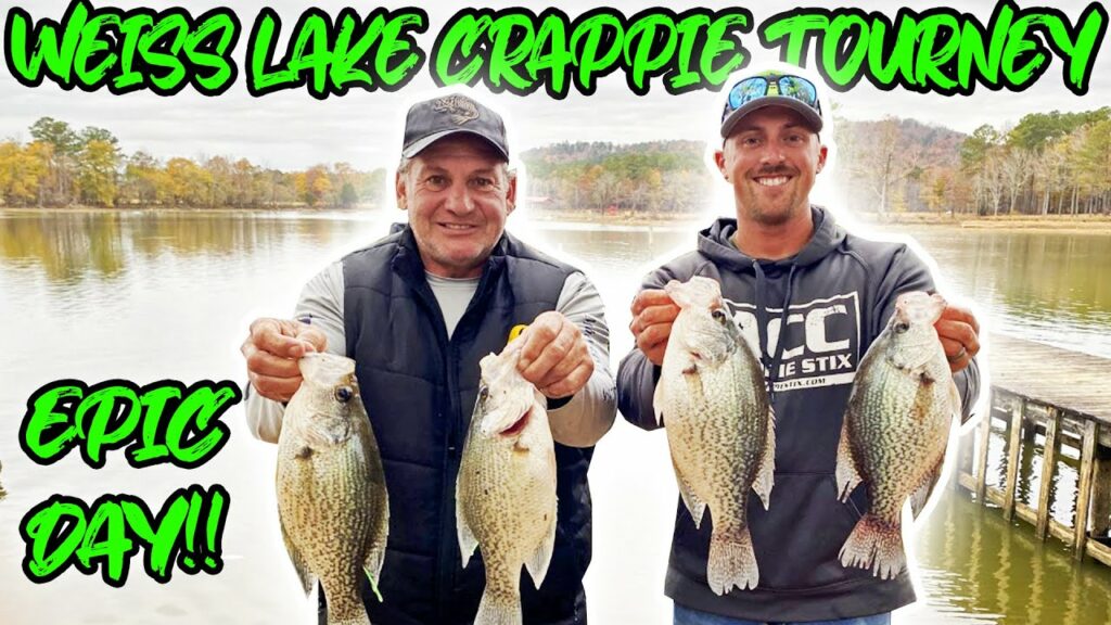Fishing Lake Report - Mixo Dfoir4