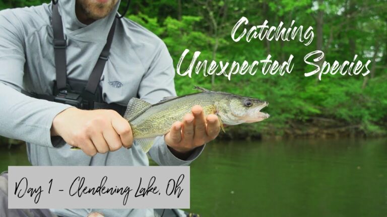 Clendening Lake Fishing Report Guide