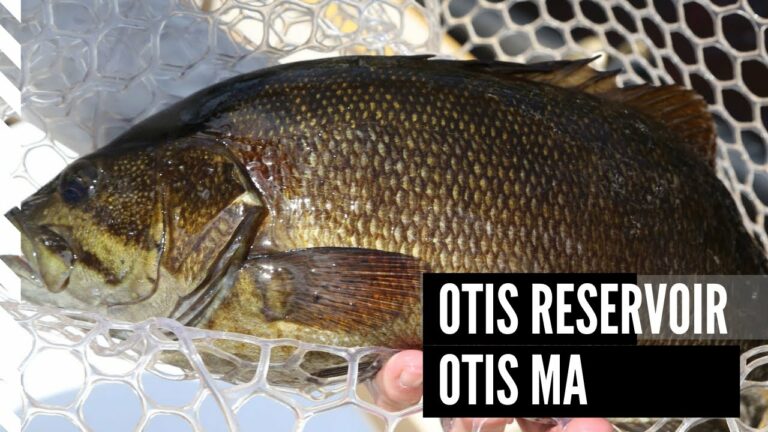 Otis Reservoir Fishing Lake Guide