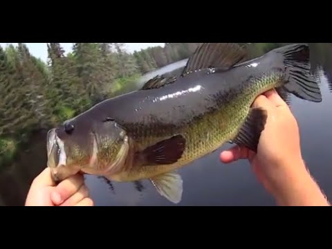 Michigan Lake Fishing Guide
