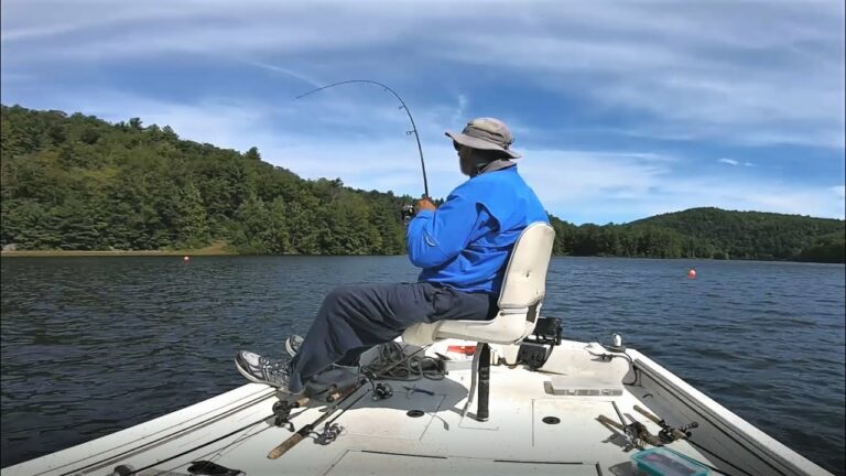 Mcdonough Lake Fishing Guide