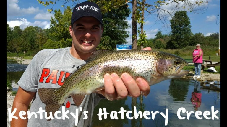 Hatchery Creek Lake Fishing Report Guide