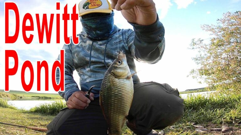 Dewitt Pond Fishing Report Guide
