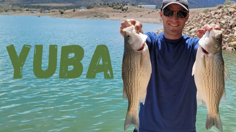 Yuba Reservoir Fishing Report Guide